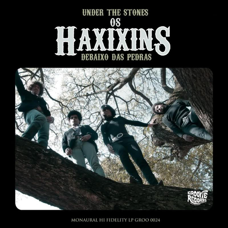 The Flaming Sideburns - Street Survivor The Flaming Sideburns - Street Survivor