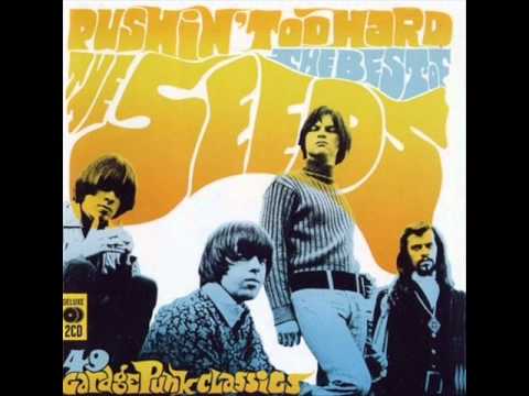 The Seeds - Fallin&#039; Off the Edge (Of My Mind)