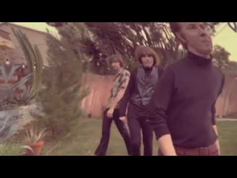 Maui Loon (Official Video)
