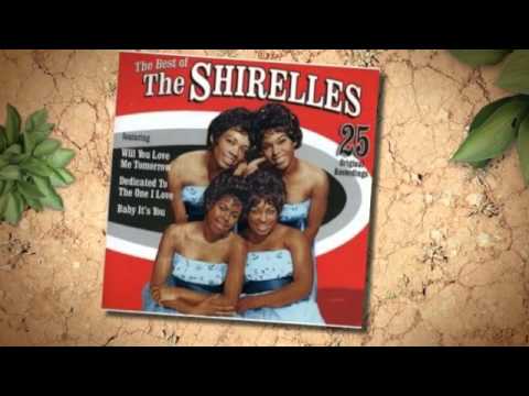 THE SHIRELLES hey rocky