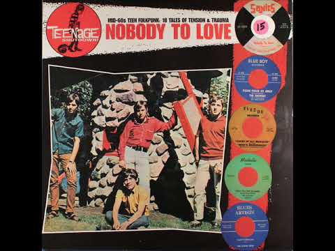 Teenage Shutdown! VOL 5 Nobody to Love - Teenage Shutdown! VOL 6 I&#039;m Down Today