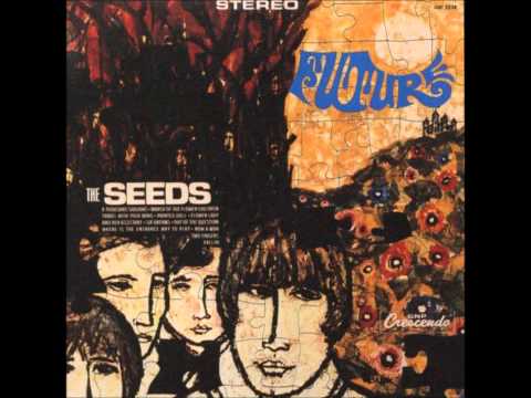 The Seeds - A Thousand Shadows