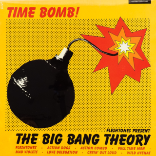 FLESHTONES PRESENT: The Big Bang Theory LP