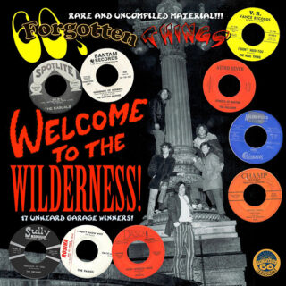 VA: 60's FORGOTTEN THINGS - Welcome To The Wilderness LP (color vinyl)