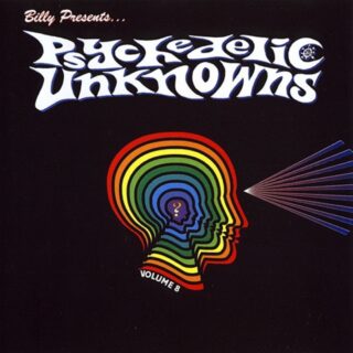 VA: PSYCHEDELIC UNKNOWNS VOL. 8 LP