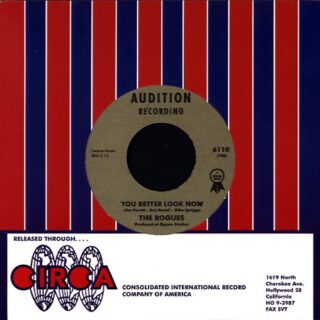 THE ROGUES: You Better Look Now 7"