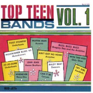 VA: TOP TEEN BANDS Vol. 1 LP