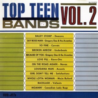 VA: TOP TEEN BANDS Vol. 2 LP