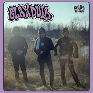 GLANDULA: Amigo de Verdad 7"