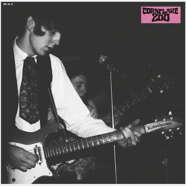 CORNFLAKE ZOO: Knights of Fuzz LP